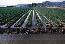 one disadvantage to gravity irrigation is