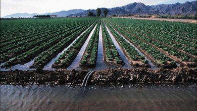 one disadvantage to gravity irrigation is